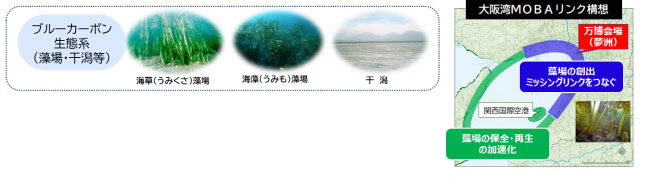 事業概要